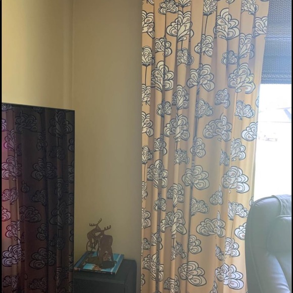 2 Decretive Curtain Panel - Picture 2 of 7